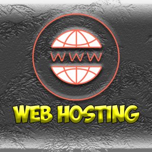 Webhosting / domain